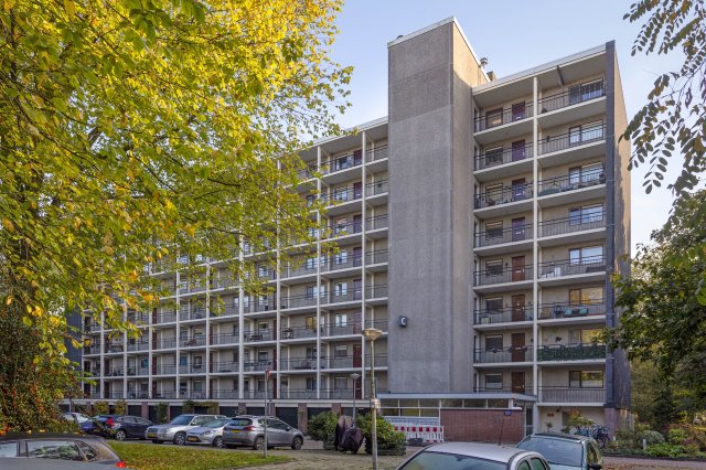 iQ Makelaars Amsterdam, Amerbos