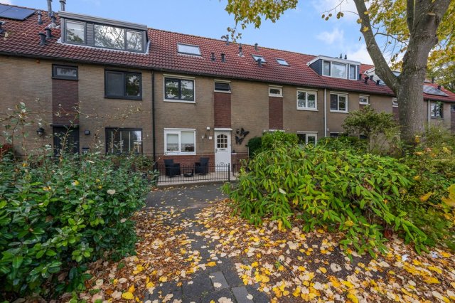 iQ Makelaars Zaandam, Nieuwendamstraat