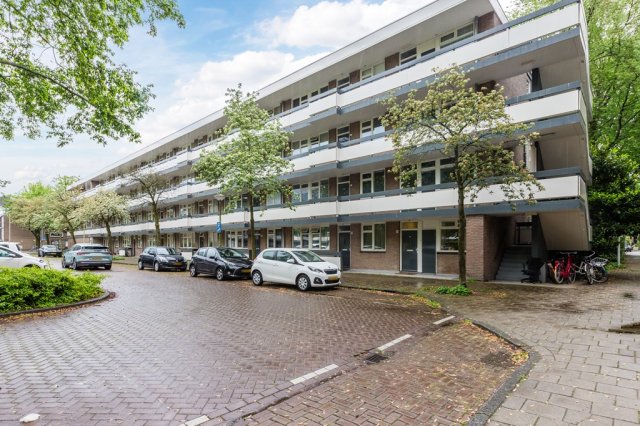 iQ Makelaars Amsterdam, Bolestein